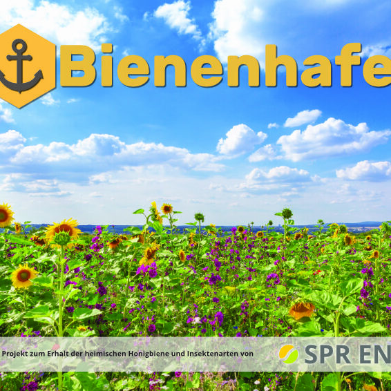 Bienenhafen Foto small