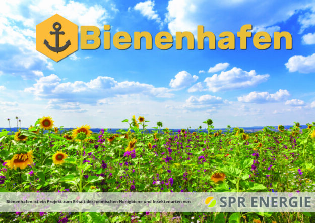 Bienenhafen Foto small