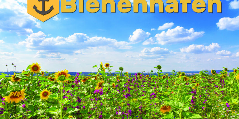Bienenhafen Foto small