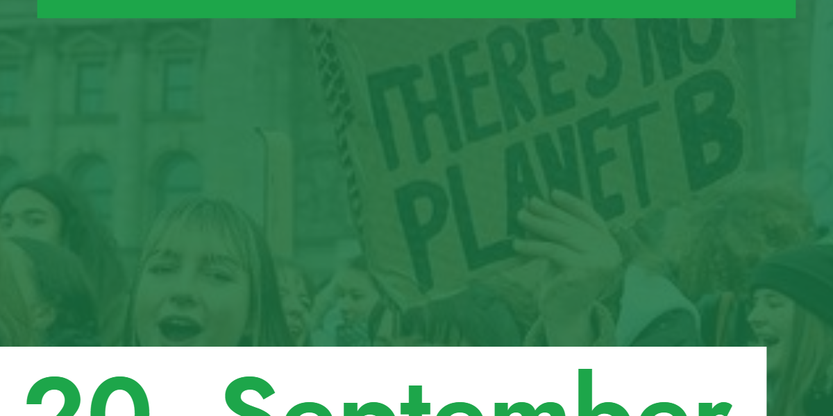 Klimademo in Niebüll v3