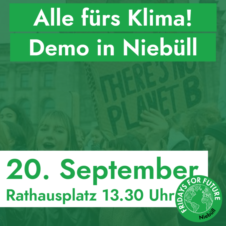 Klimademo in Niebüll v3