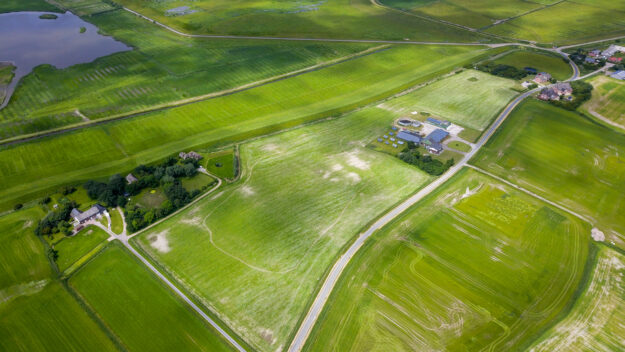 Bienenhafen 2021 Blumenwiese von SPR gegen Bienensterben